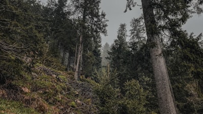 Jumping Geographical Restrictions in Business Tests with Node.js