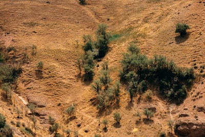 Las primeras dieciocho líneas de "The Waste Land"