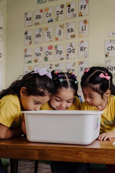 Construyendo la base de una educación más avanzada