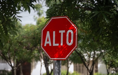 ¿Qué es la temporada de altcoins en criptomonedas?