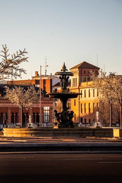 Expertos en programación en Albacete