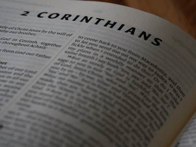 Notas del Autor Metacognitivo: Cronicas Cognitivas de Codie