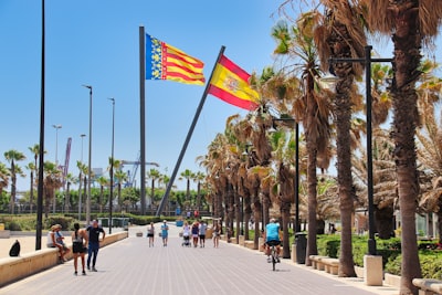 Empresas líderes en intranet con feed y anuncios en Valencia