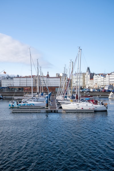SEO Bots en A Coruña