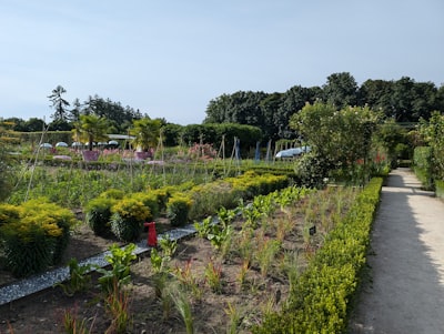 Socio en sistema oficial de gestión de empresas de jardinería en Madrid