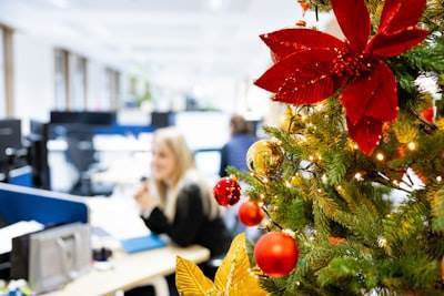 Top 100 Empresas de Software de Negocios en Santa Coloma de Gramenet