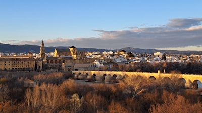 Top 20 empresas de especificaciones ligeras en Córdoba