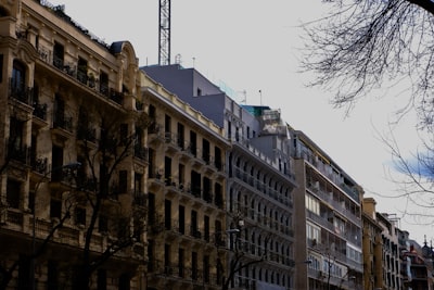 Consolidación de herramientas comerciales en empresa de plataforma en Madrid