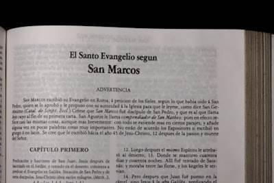 Desarrollo de SaijinOS: Parte 12 (Edición DEVS)