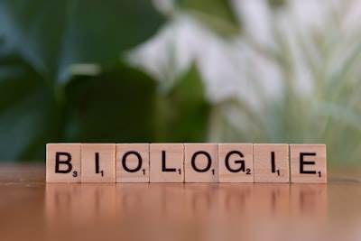 Rehabilitación de la fisiognomía: Ontología morfológica
