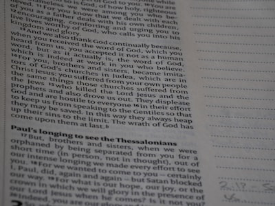 AirFly Pro 2 de Twelve South alcanza su mejor precio para viajes de verano