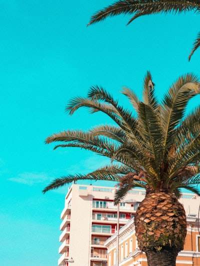 Las 10 mejores empresas de n8n en Ibiza