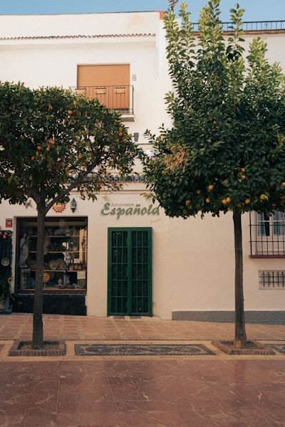 La mejor forma de encontrar aplicaciones personalizadas en Marbella
