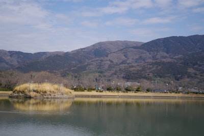 Agencia de Inteligencia Artificial en Laguna de Duero