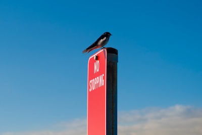 Empresa especializada en aplicaciones en A Coruña