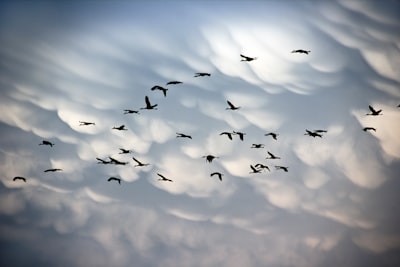 Expertos en migración a la nube de Azure en Alicante