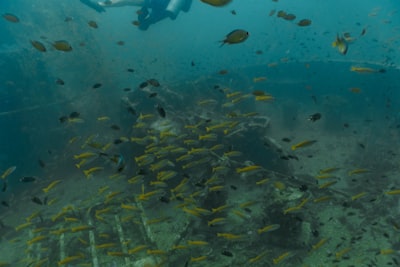 Exploración marina con infraestructuras de emisiones negativas