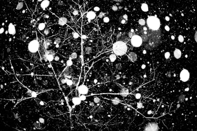 Las redes neuronales ReLU son más dispersas con minimizadores globales $\ell^p$