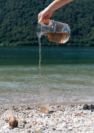 Un Enfoque Innovador para Probar la Seguridad del Agua mediante Imágenes Microscópicas.