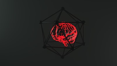 Construí un marco neurocognitivo innovador