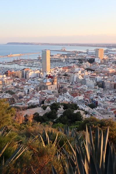 Guía de los mejores aliados tecnológicos para pymes en Alicante
