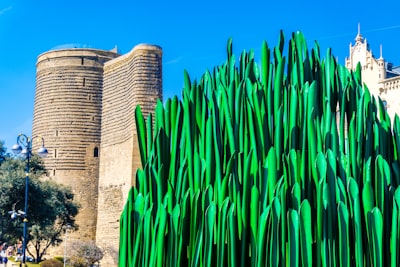 Top 20 Empresas de Bots de SEO en Castellón de la Plana