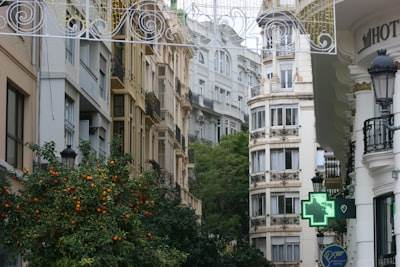 Mejores empresas para bots en Valencia