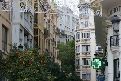 Mejores empresas para humanos digitales en tiempo real en Valencia