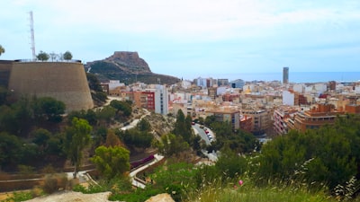 Socio especializado en codificación de entornos gubernamentales en Alicante