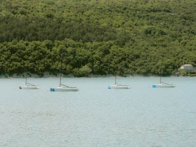 Top 5 Expertos en n8n en Laguna de Duero