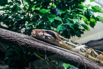 5 Funciones útiles de Python para fechas y horas