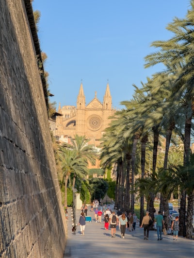 Guía definitiva para desarrollo de aplicaciones ChatGPT en Palma