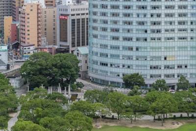 Servicios de bots de Microsoft Teams en Santo Domingo de la Calzada