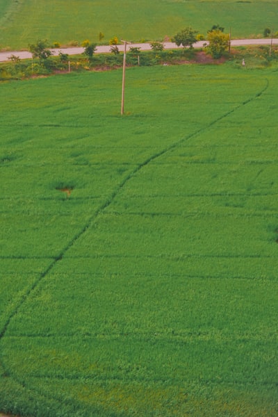CoFL: navegación condicionada por lenguaje con campos de flujo continuo