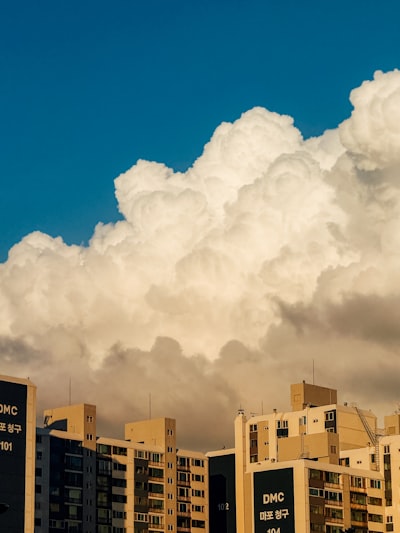 ¿Cómo las soluciones SaaS en la nube impulsan la sostenibilidad del trabajo remoto?
