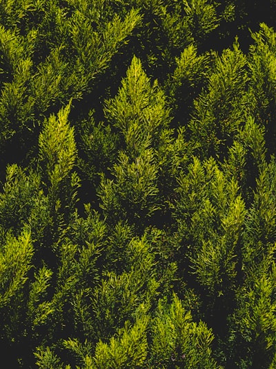 Automatización de auditorías de acceso privilegiado para respaldar objetivos ambientales