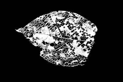 Datos de meteoritos compartidos y detección de anomalías.