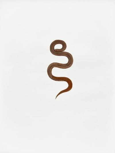 Pyrefly: Un servidor de lenguaje basado en Rust para Python.