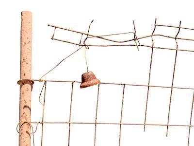 Build Structured Authority Before Disappearing