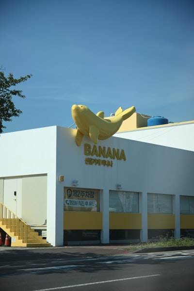 Empresa de desarrollo de software personalizado en Palma