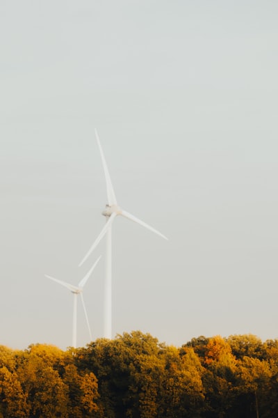 Acelera la innovación ecológica con un portal de proveedores con SLA