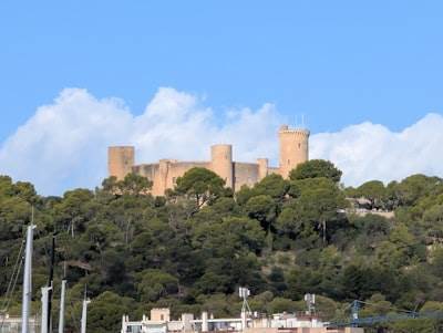 Principales expertos en inteligencia artificial en Castelldefels