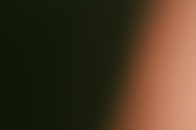 Qué hace que una solución de automatización de citas en un salón de belleza sea buena?