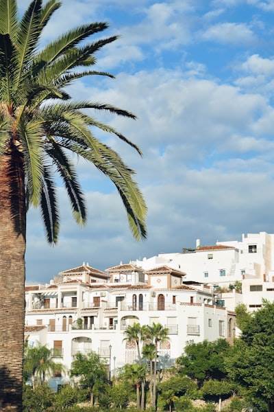 La mejor guía para encontrar consultoría n8n en Ibiza