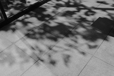 El Problema Inesperado de la Sombra de TI
