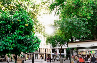 Especialistas en software a medida para retail en Sevilla