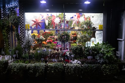 Servicios de sistema de gestión de floristería en Córdoba