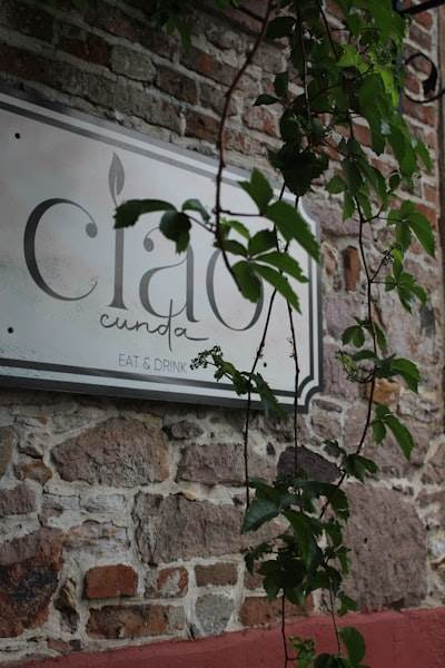 ¿Cuánto cuesta y vale la pena Claude Opus 4.5?
