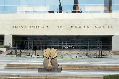 Empresa especializada en chatbots en Guadalajara