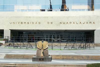 Socio oficial de IA telefónica en Guadalajara con 15 años de experiencia